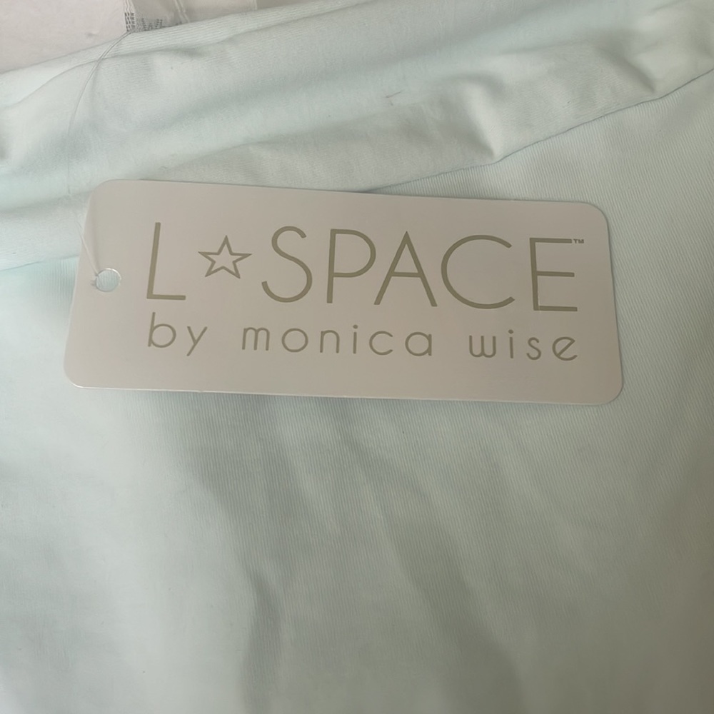 L*Space Veronica Banded Hipster Bikini Bottom in Glass - Picture 7 of 12